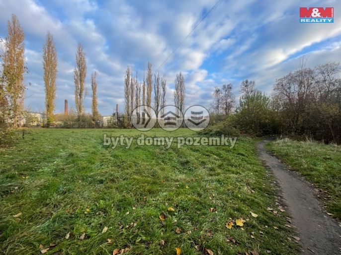 Pronájem, Ostatní, Studénka