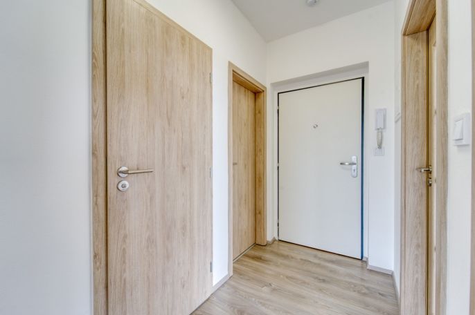 Pronájem, Byt 3+kk, Plzeň