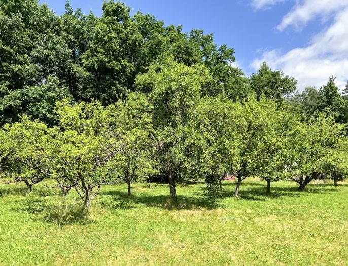 Prodej, Zahrada, Strakonice