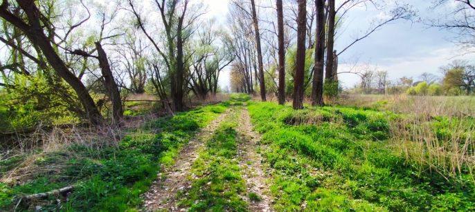 Prodej, Ostatní, Hořín