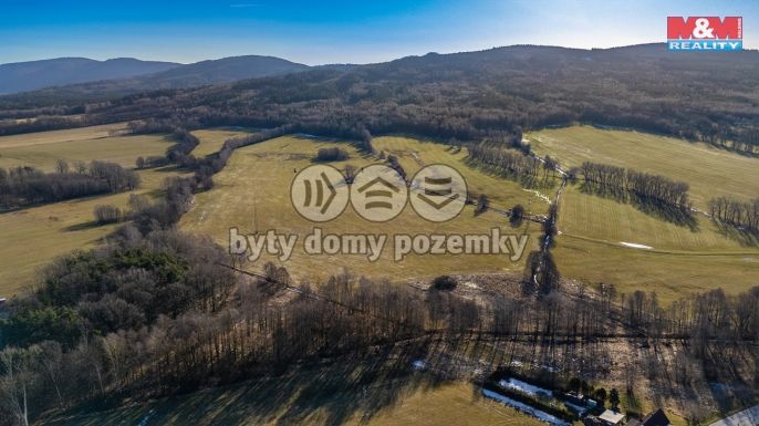 Prodej, Louka, Dětřichov