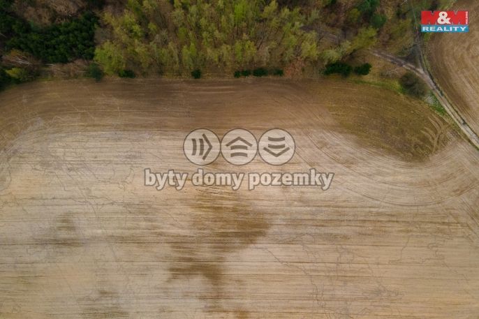 Prodej, Pole, Předenice