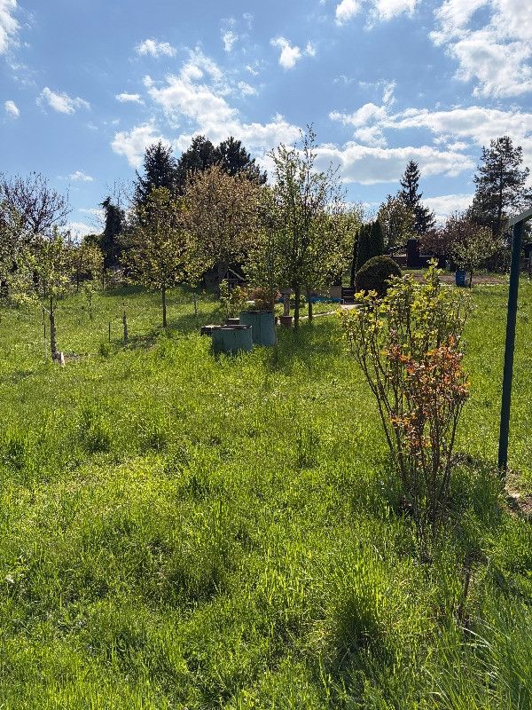 Prodej, Zahrada, Šlapanice