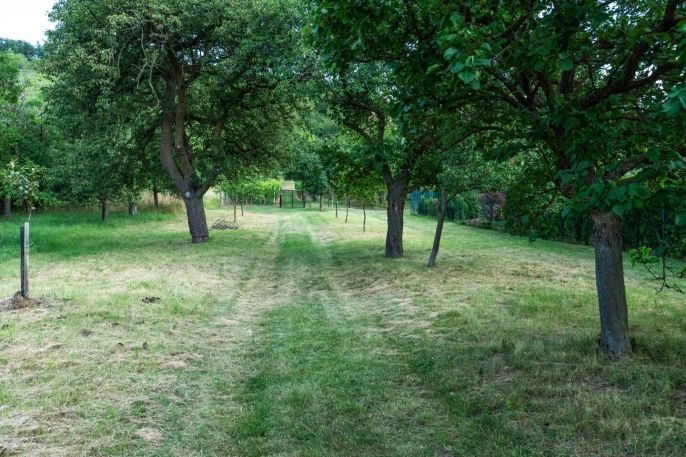 Prodej, Pozemek k bydlení, Viničné Šumice