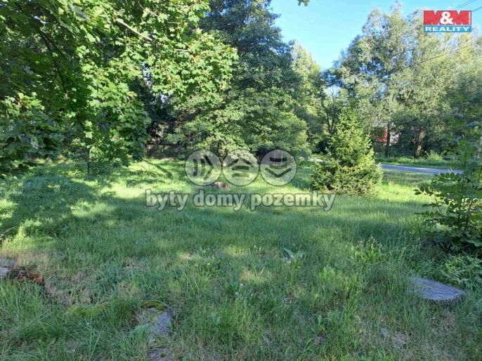 Prodej, Zahrada, Město Albrechtice