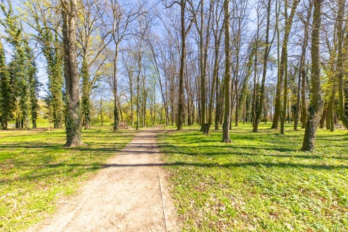 Prodej, Byt 3+1, Pohořelice