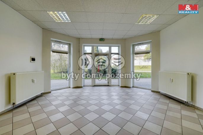 Pronájem, Obchod a služby, Třemošná