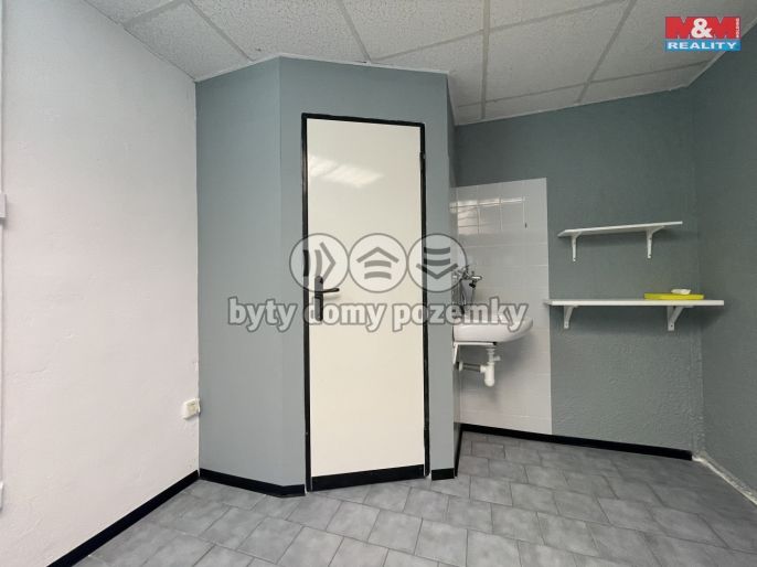 Pronájem, Ostatní, Most