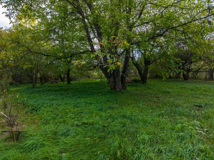 Prodej, Pozemek k bydlení, Zdechovice