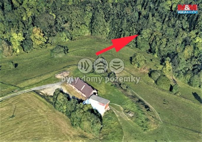 Prodej, Les, Koberovy