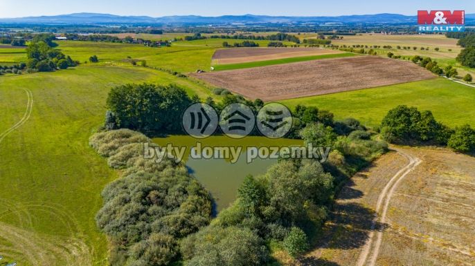 Prodej, Zemědělská usedlost, Dříteň