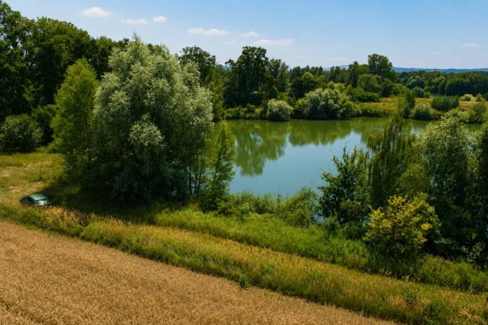 Prodej, Vodní plocha, Kolín