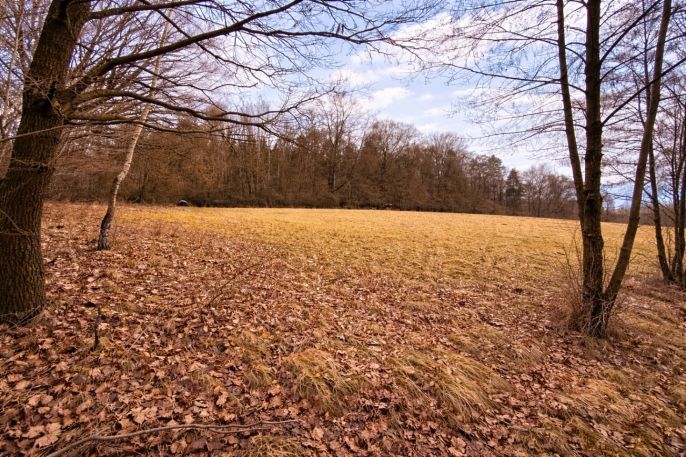 Prodej, Komerční pozemky, Křečovice