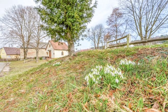 Prodej, Pozemek k bydlení, Přimda