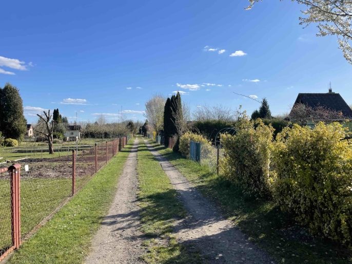 Prodej, Zahrada, Poděbrady