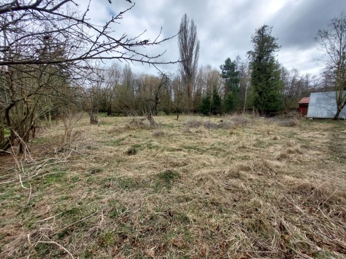 Prodej, Zahrada, Kořenice