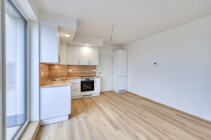 Pronájem, Byt 2+kk, Dobřany