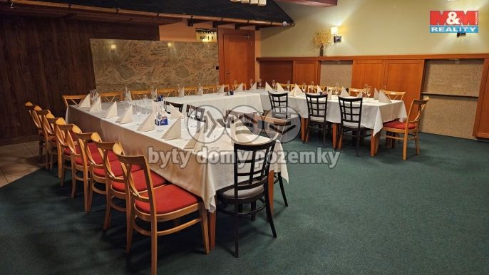 Pronájem, Hotel, penzion, Přerov