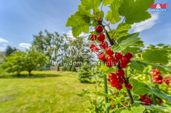 Prodej, Pozemek k bydlení, Zbůch