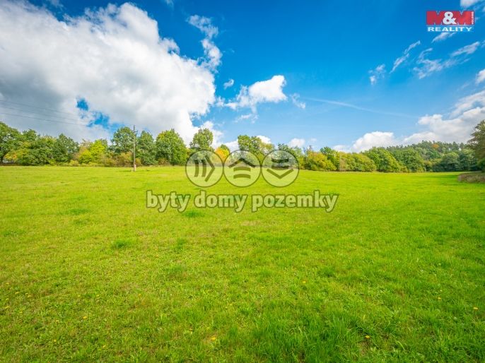 Prodej, Louka, 21366 m², Nechvalice