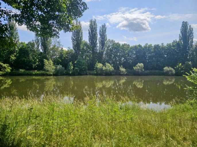 Prodej, Louka, Hradec Králové