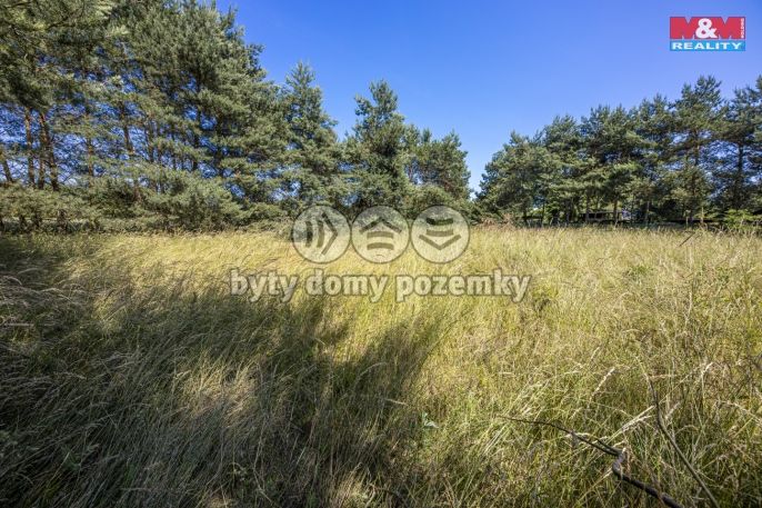 Prodej, Pole, Svatý Mikuláš