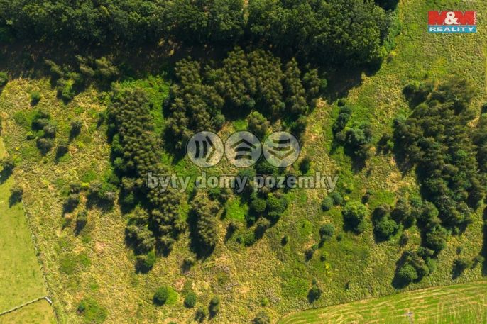 Prodej, Zemědělská usedlost, Hracholusky