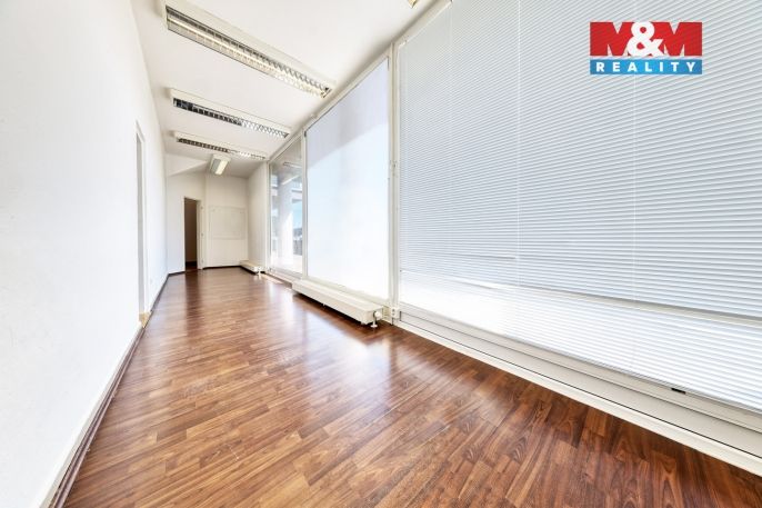 Pronájem, Obchod a služby, Písek