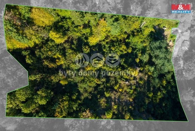 Prodej, Les, Lomnice