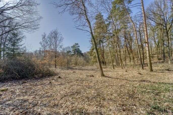 Prodej, Zahrada, Kunějovice