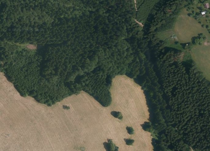 Prodej, Les, Valašská Senice
