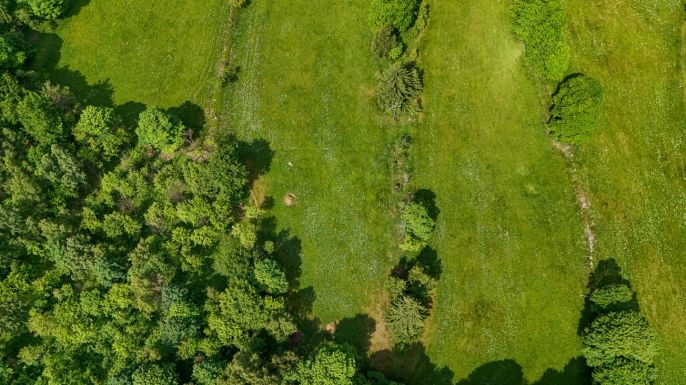 Prodej, Pozemek k bydlení, Blatno