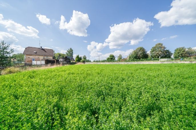 Prodej, Ostatní, Plesná