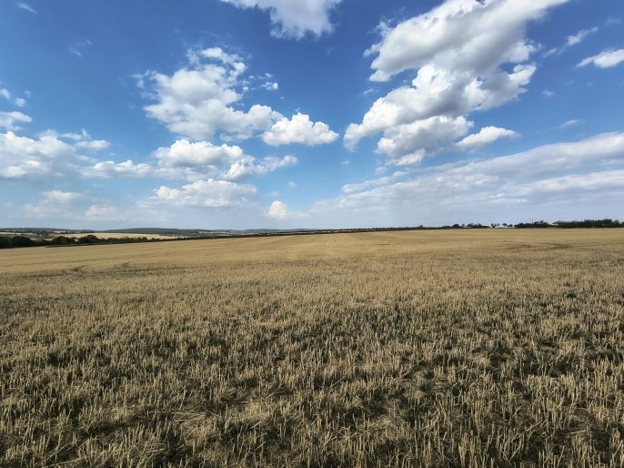Prodej, Pole, Šlapanice