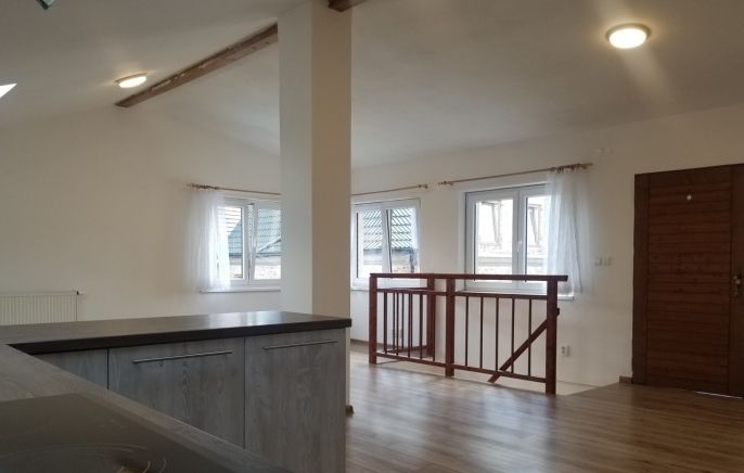 Pronájem, Atypický byt, Droužkovice