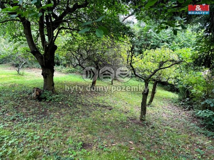 Prodej, Chata, Třebívlice