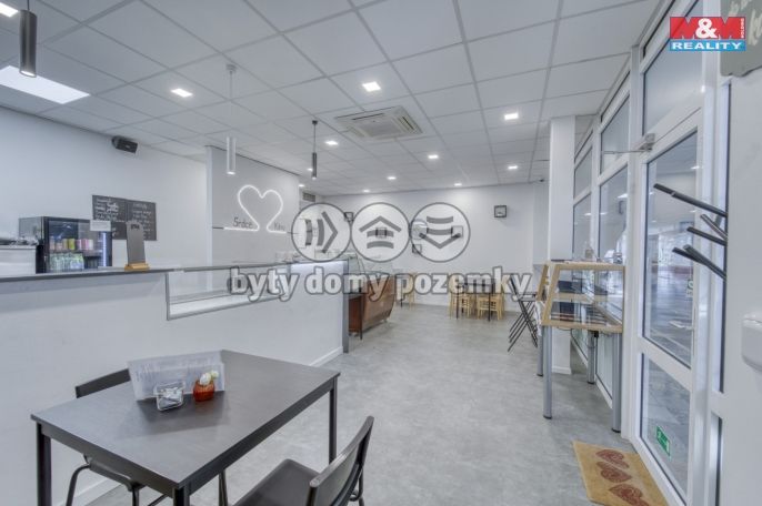 Pronájem, Obchodní objekt, Třemošná