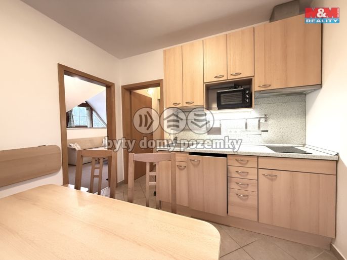 Prodej, Byt 1+1, Deštné v Orlických horách