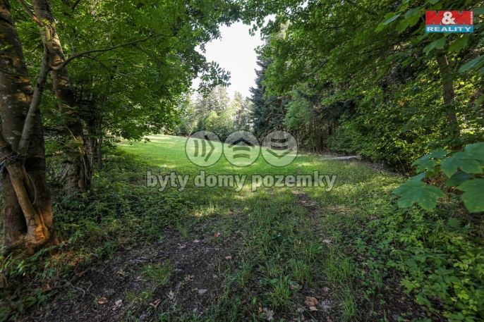 Prodej, Les, Petrovice u Sušice