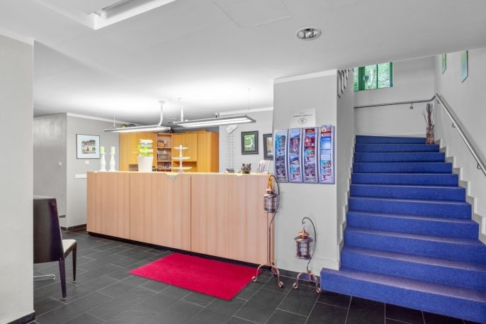 Prodej, Hotel, penzion, Geising