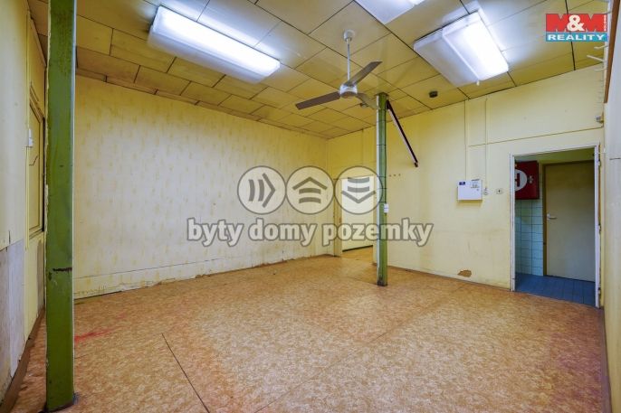 Pronájem, Obchod a služby, Třemošná