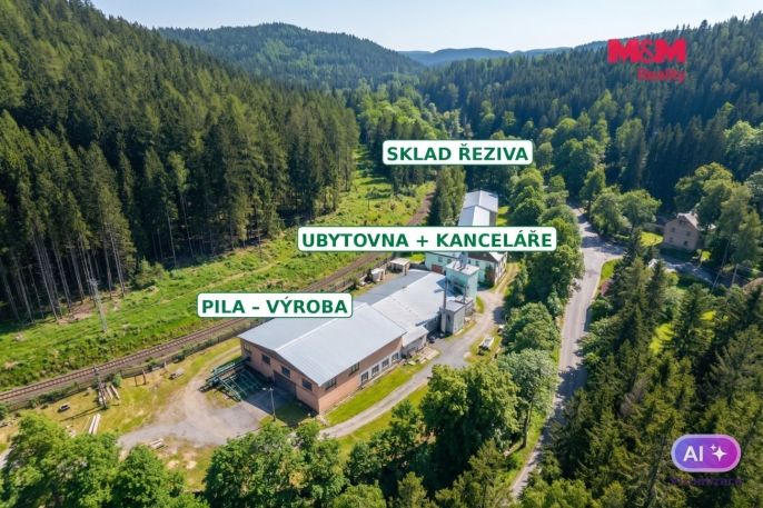 Prodej, Výrobní objekt, Nejdek