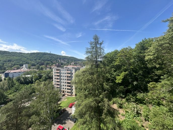 Pronájem, Byt 1+kk, Ústí nad Labem