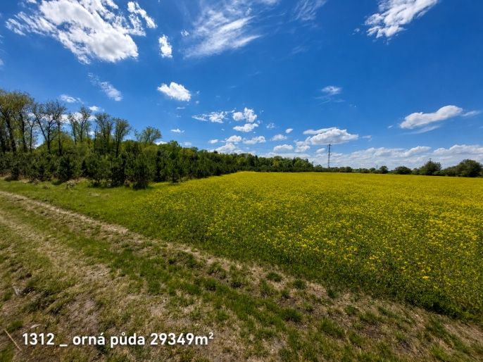 Prodej, Ostatní, Pňov-Předhradí