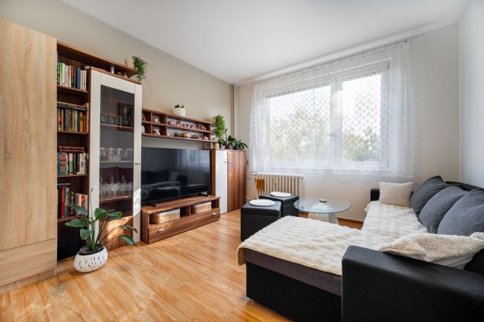 Prodej, Byt 1+1, Svitavy