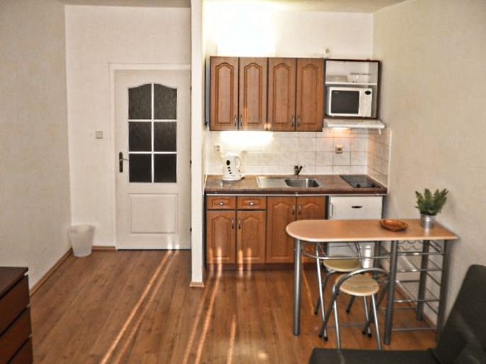 Pronájem, Byt 1+kk, Ostrava