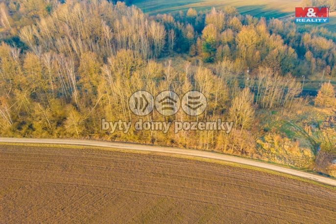 Prodej, Louka, Rudoltice