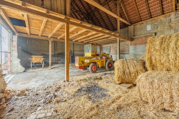 Prodej, Zemědělská usedlost, Strupčice