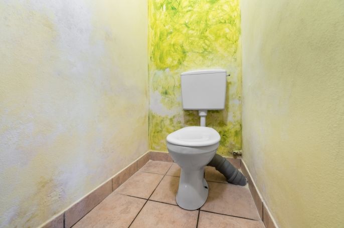 Prodej, Chalupa, Srby