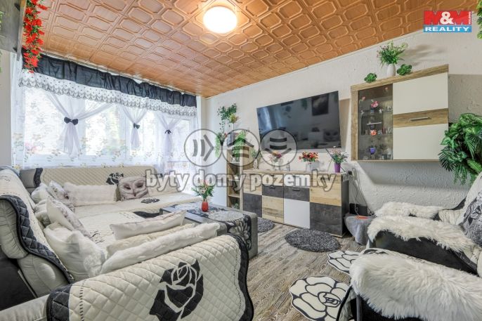 Prodej, Byt 2+1, Bor